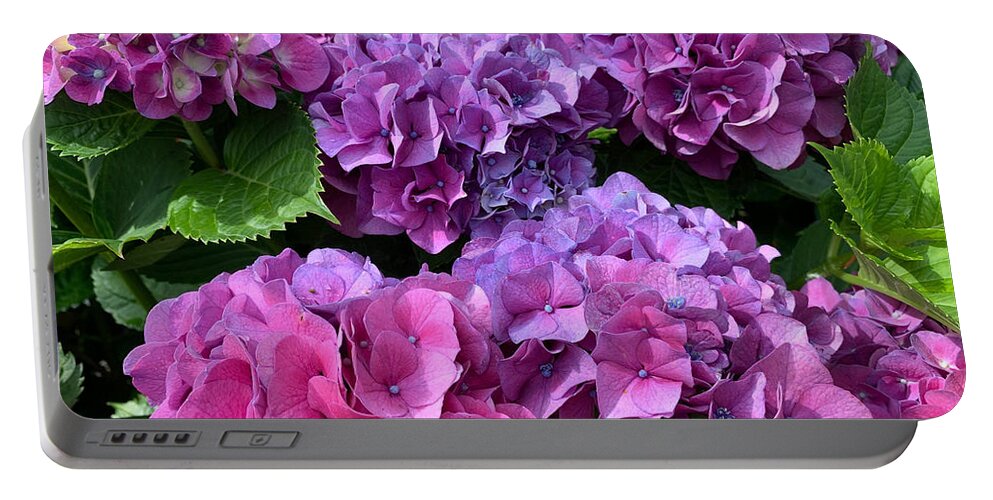 Flowers Portable Battery Charger featuring the photograph Pink n Purple by Lee Darnell