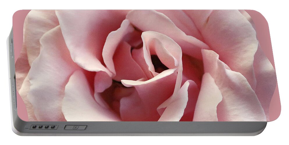 Rose Portable Battery Charger featuring the photograph Pink on Pink by Diann Fisher