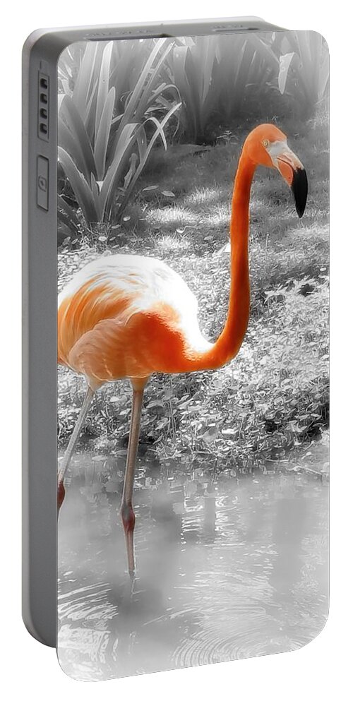 Bird Portable Battery Charger featuring the photograph Pink Orange Flamingo Photo 210 by Lucie Dumas