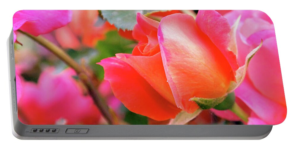 Rose Portable Battery Charger featuring the photograph Pink Orange Hybrid by Rona Black