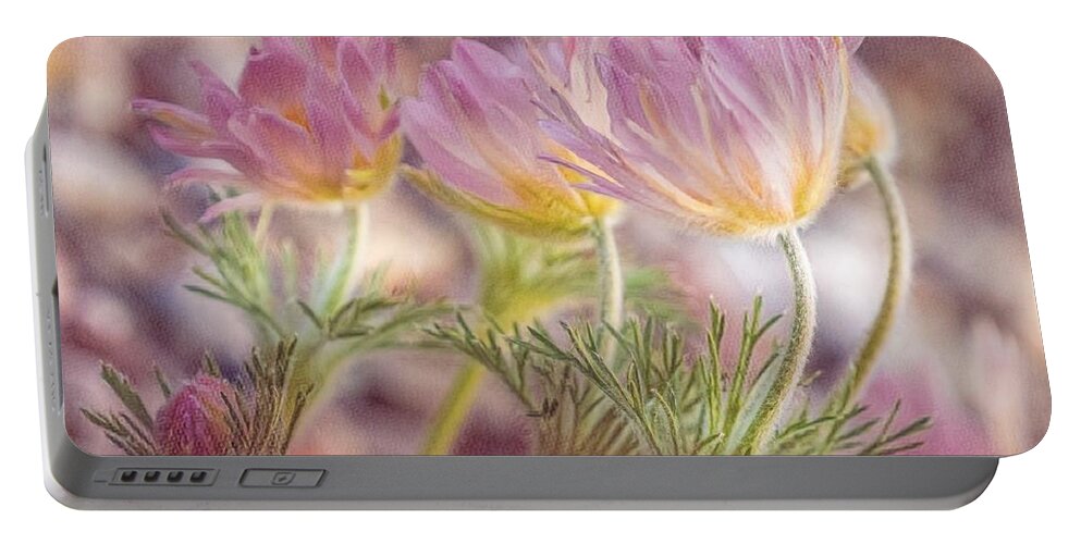 Spring Portable Battery Charger featuring the photograph Pink Pasque Flowers by Susan Rydberg