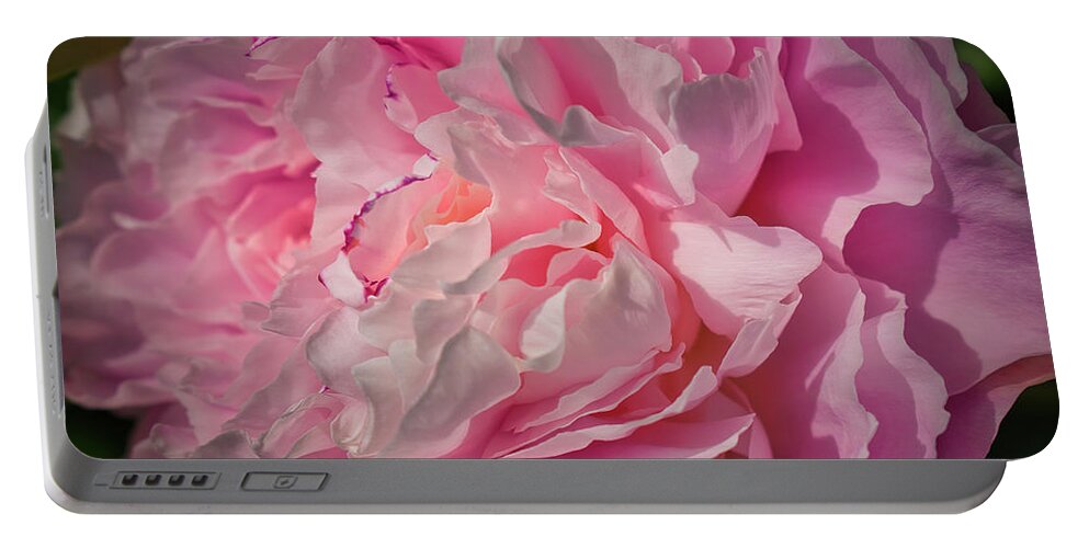 Peony Portable Battery Charger featuring the photograph Pink Peony Perfection by Cathy Mahnke