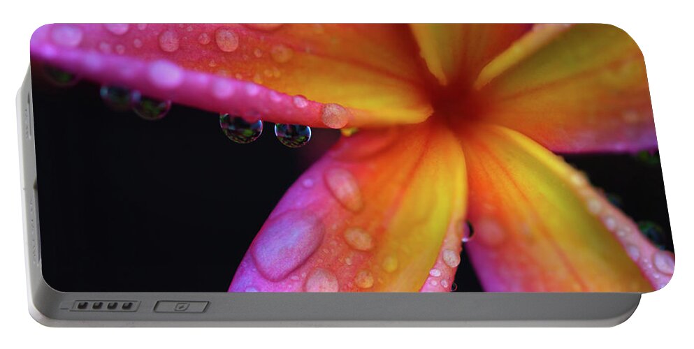 Plumeria Portable Battery Charger featuring the photograph Pink Plumeria by Christopher Johnson