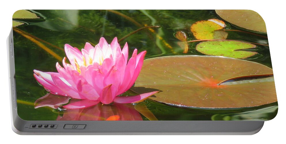 Pink Water Lily Portable Battery Charger featuring the photograph Pink Pond Lily and Goldie by Anita Adams