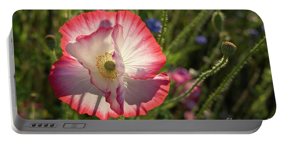 Poppy Portable Battery Charger featuring the photograph Pink poppy blossom by Adriana Mueller