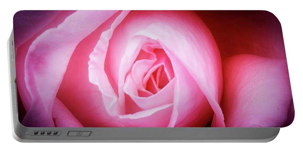 Pink Rose Portable Battery Charger featuring the photograph Pink Rose by David Morehead