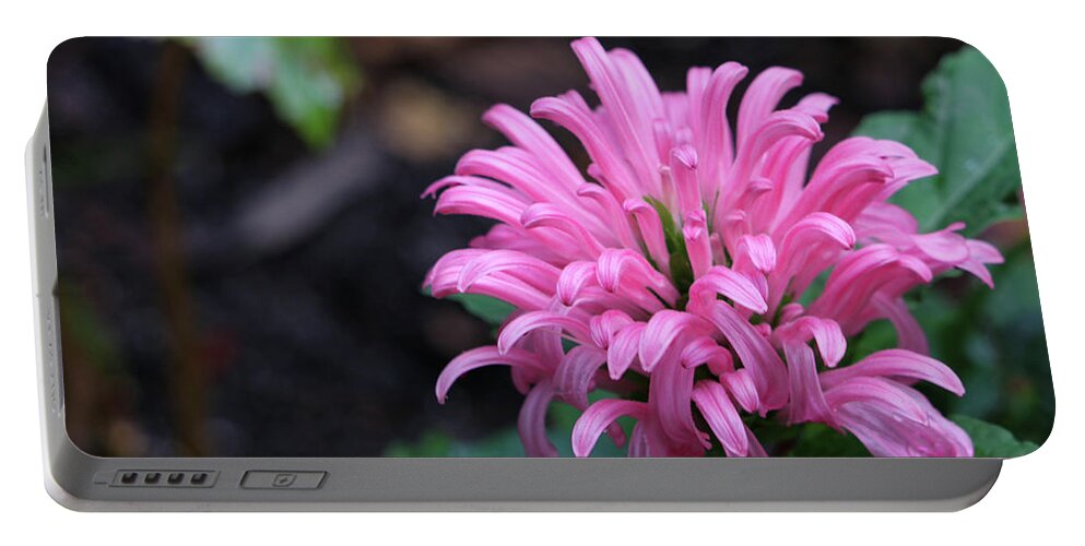 Flower Portable Battery Charger featuring the photograph Pink Tropical Treasure by Mary Anne Delgado