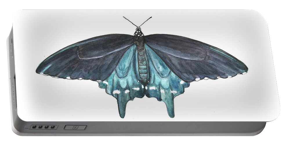 Butterfly Butterflies Florida American Pipevine Swallowtail Blue Navy Transformation Watercolor Portable Battery Charger featuring the painting Pipevine Swallowtail Butterfly by Pamela Schwartz