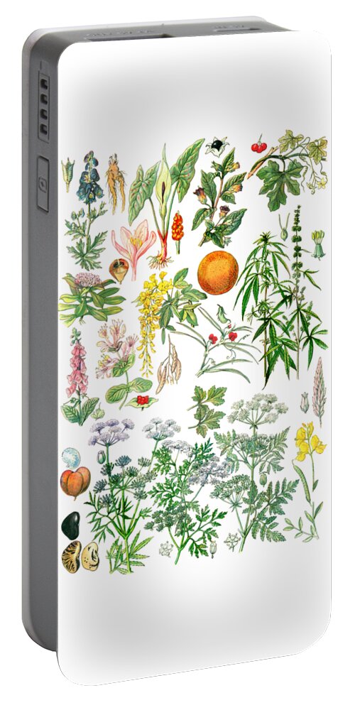 Botanical Portable Battery Charger featuring the digital art Plant Chart by Madame Memento