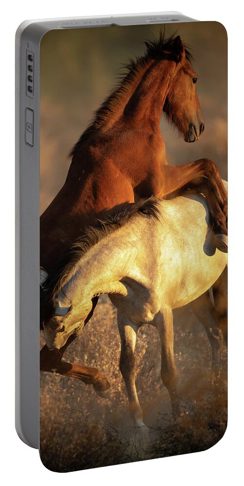 Salt River Wild Horses Portable Battery Charger featuring the photograph Play Time by Shannon Hastings