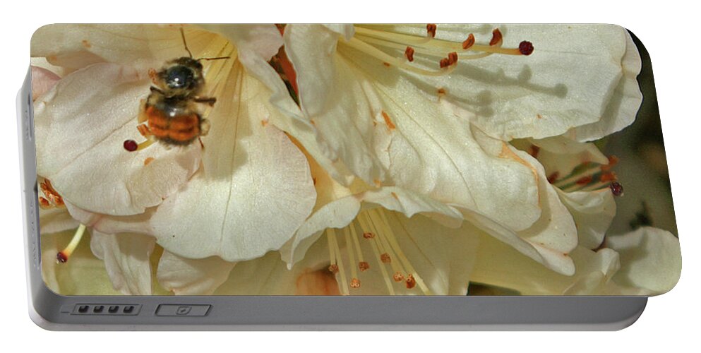 Nature Portable Battery Charger featuring the photograph Plum Bee by Segura Shaw Photography