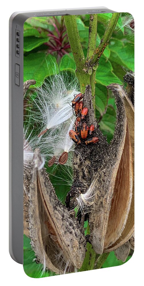 Bugs Portable Battery Charger featuring the photograph Pods and Bugs by Lora J Wilson