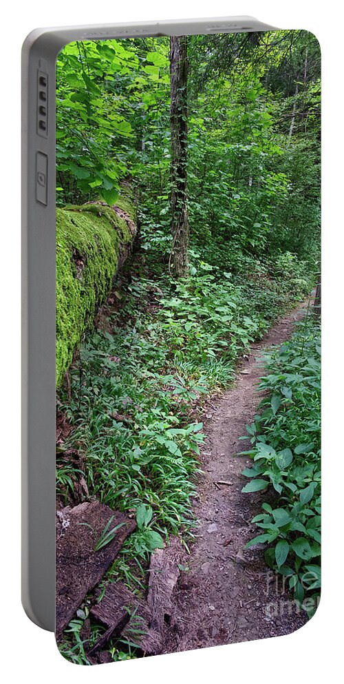 Obed Portable Battery Charger featuring the photograph Point Trail At Obed 6 #1 by Phil Perkins
