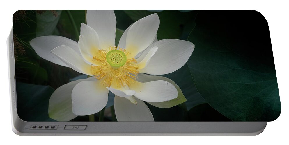 Floral Portable Battery Charger featuring the photograph Poised for perfection. by Usha Peddamatham
