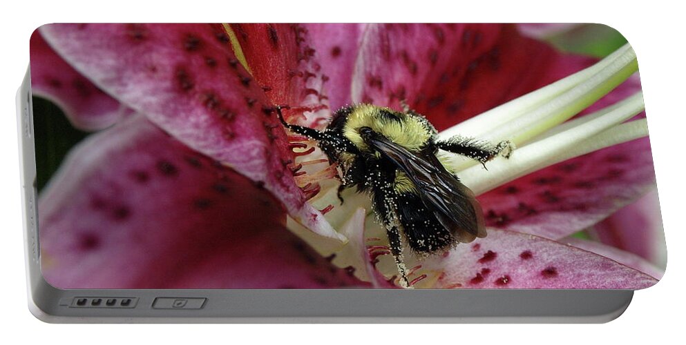 Bumblebee Portable Battery Charger featuring the photograph Pollenated Bumble by Jeffrey Peterson