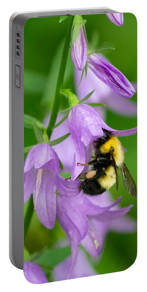 Bumble Bee Portable Battery Charger featuring the photograph Pollinator's Purple Passion by Linda Bonaccorsi