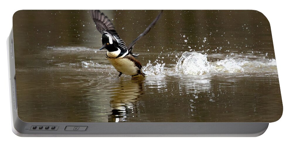 Duck Portable Battery Charger featuring the photograph Pond Skipping by Art Cole