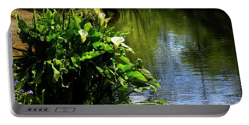 Lily Reflection Portable Battery Charger featuring the photograph Pondside Lilies by Terri Waters