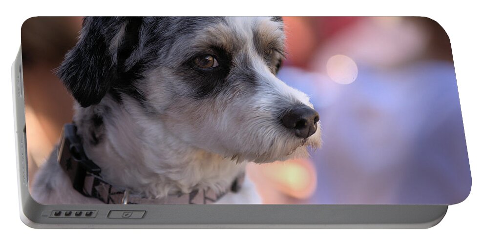 Dog Portable Battery Charger featuring the photograph Poochapoodle by Kae Cheatham