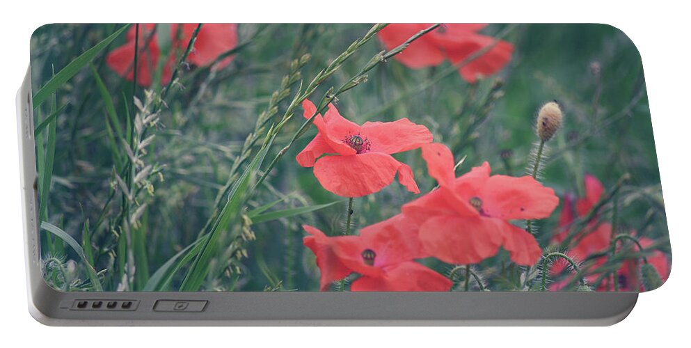 Poppies Portable Battery Charger featuring the photograph Poppies in a field by Andrew Lalchan