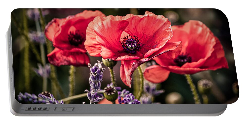 Poppy Portable Battery Charger featuring the photograph Poppies in a Garden by Maggie Terlecki