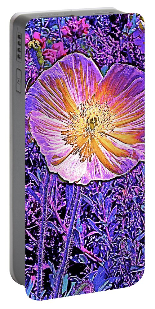 Flowers Portable Battery Charger featuring the photograph Poppy 3 by Pamela Cooper