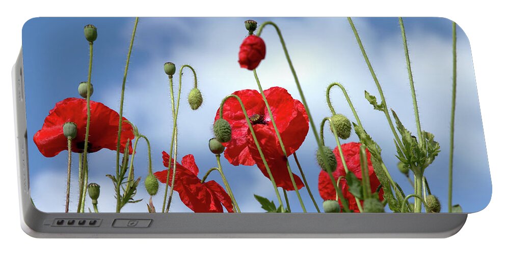 Poppies Portable Battery Charger featuring the photograph Poppy Art by Baggieoldboy