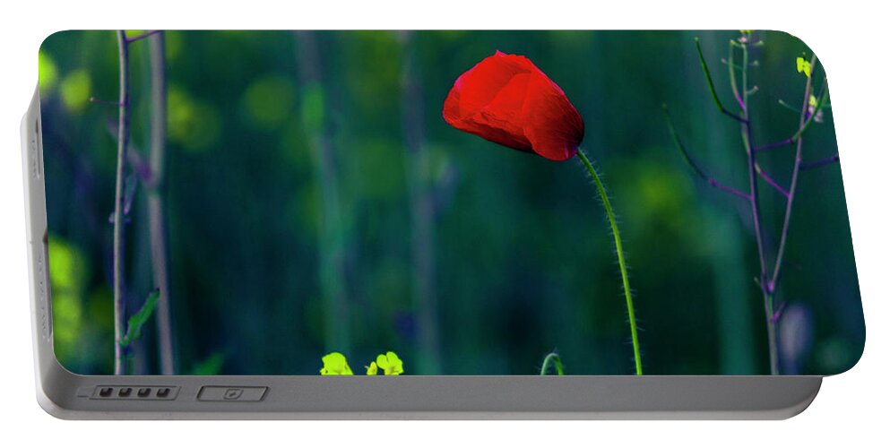 Bulgaria Portable Battery Charger featuring the photograph Poppy by Evgeni Dinev
