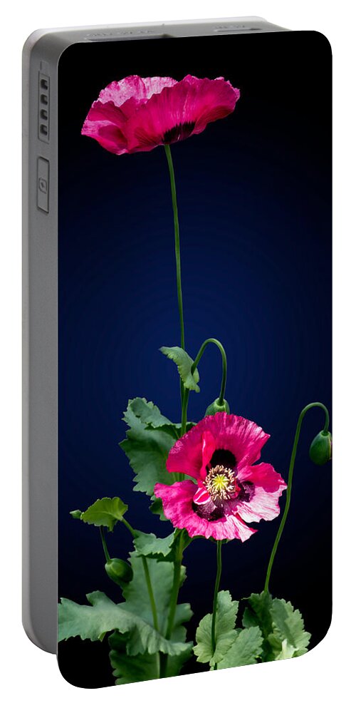 Poppy Portable Battery Charger featuring the photograph Poppy Love by Maggie Terlecki