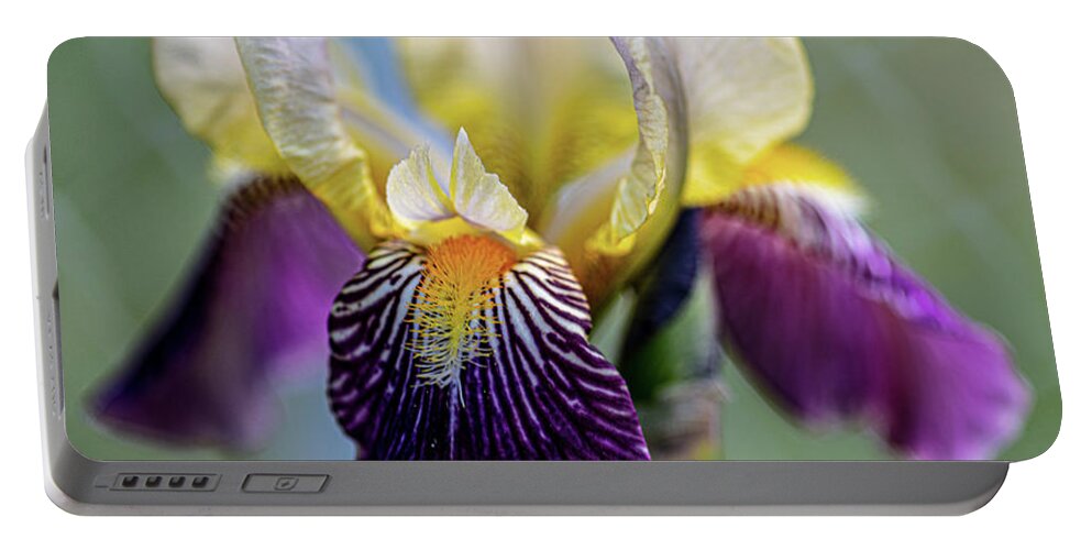 Iris Portable Battery Charger featuring the photograph Portal by Doug Norkum