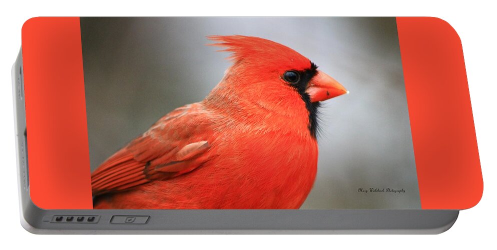 Birds Wildlife Nature Portable Battery Charger featuring the photograph Portrait of a Cardinal by Mary Walchuck