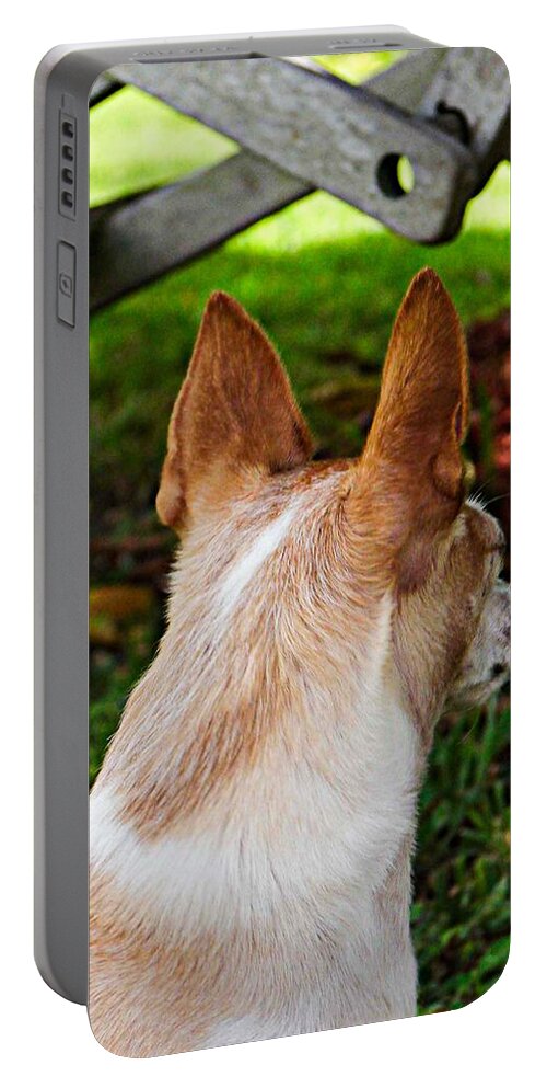  Art Portable Battery Charger featuring the photograph Portrait of Chihuahua Chiqui 13 by Miss Pet Sitter