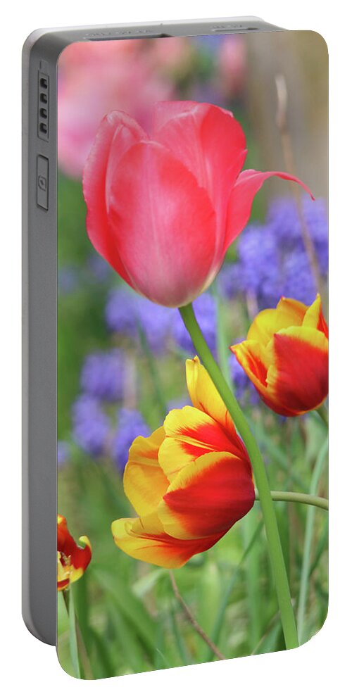 Flowers Portable Battery Charger featuring the photograph Portrait of Lovely Tulips by Trina Ansel