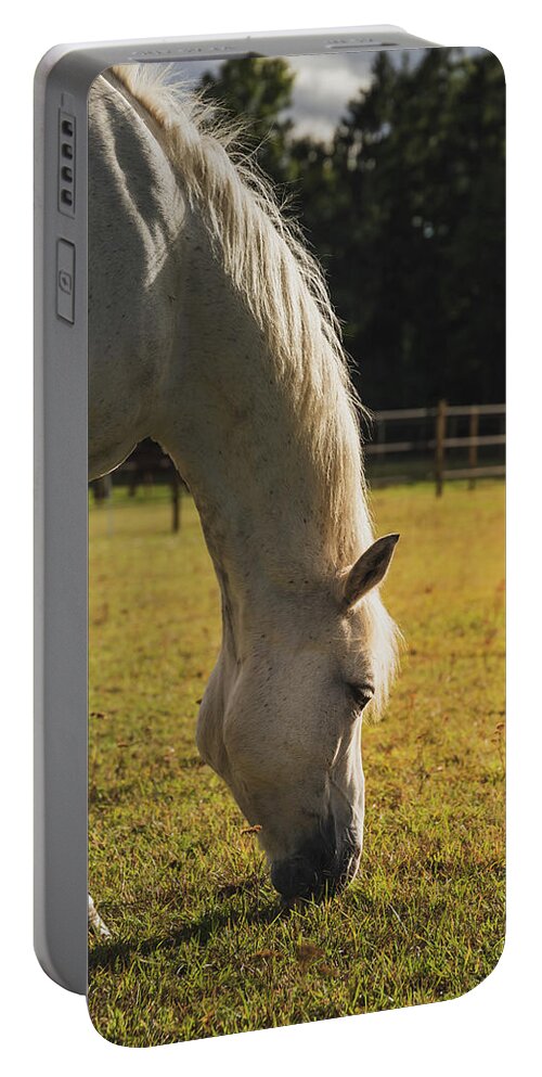 Horse Portable Battery Charger featuring the photograph Portrait Of White Grazing Horse by Nicklas Gustafsson