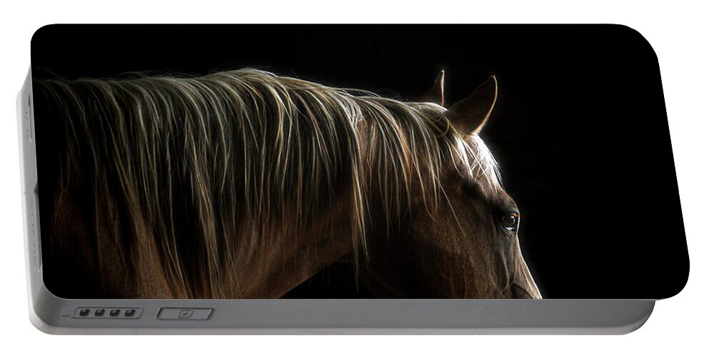 Horse Head Portraite Portable Battery Charger featuring the photograph Portraite by Pamela Steege