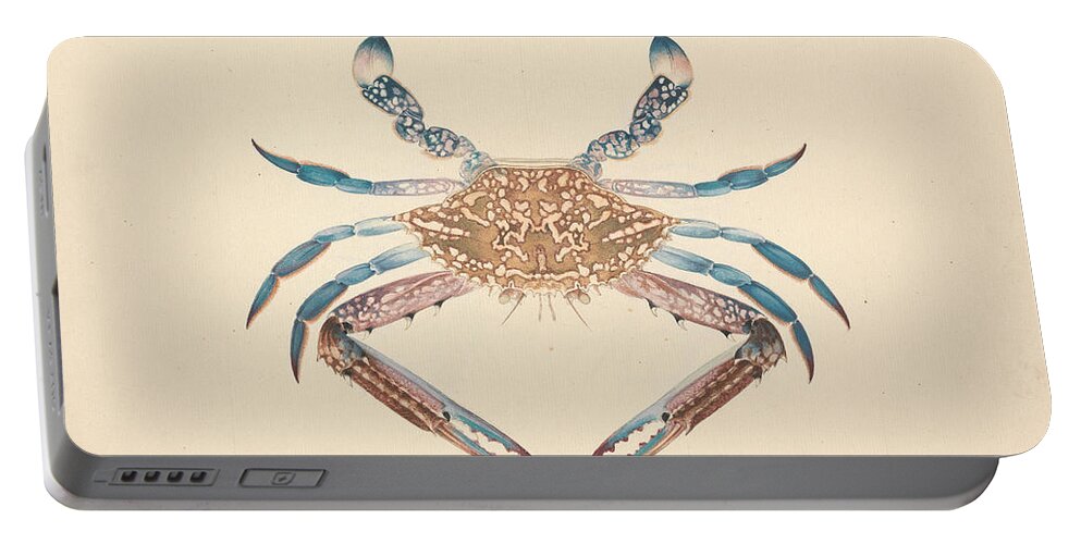 18th Century Portable Battery Charger featuring the drawing Portunua Pelagicus - Blue Crab by Luigi Balugani
