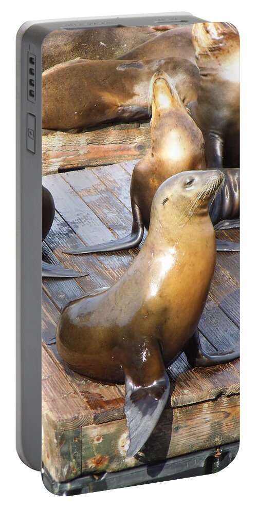  Portable Battery Charger featuring the photograph Poser by Heather E Harman