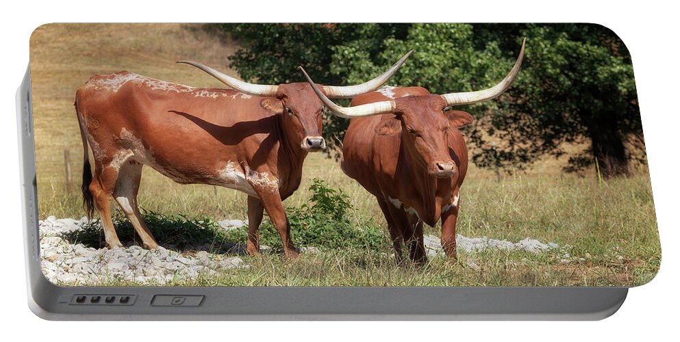 Longhorn Portable Battery Charger featuring the photograph Preservation Longhorn by Susan Rissi Tregoning
