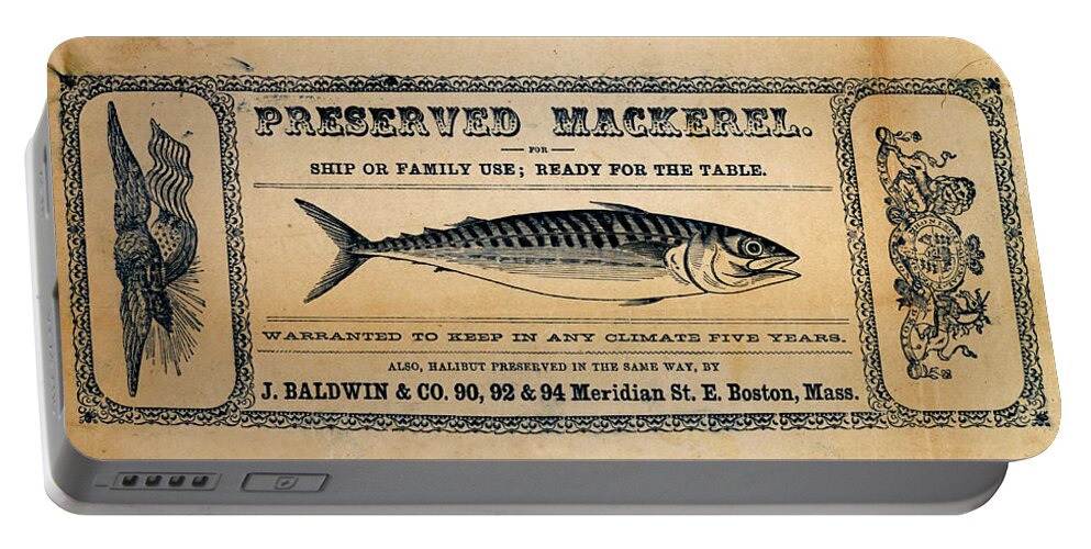 Preserved Mackeral Portable Battery Charger featuring the mixed media Preserved Mackerel by Richard Reeve
