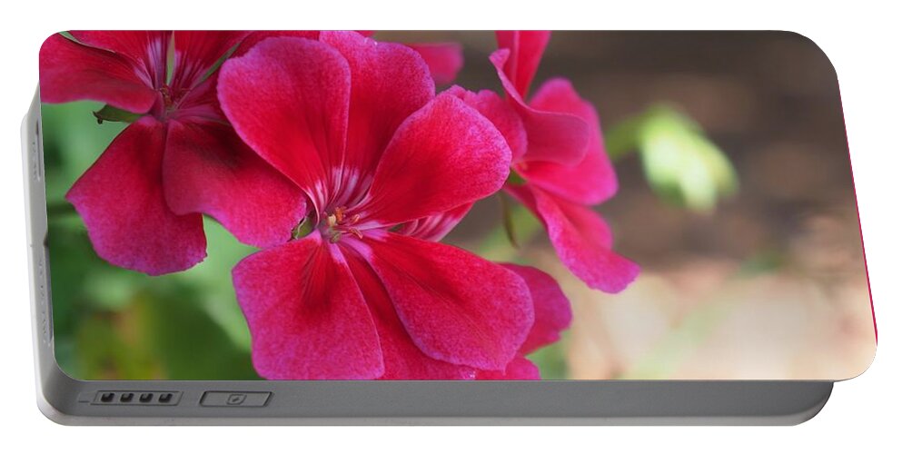 Red Portable Battery Charger featuring the photograph Pretty Flower 5 by C Winslow Shafer