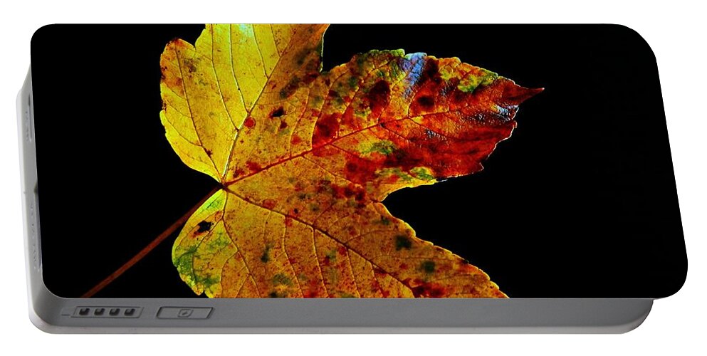 Fall Portable Battery Charger featuring the photograph Pretty Leave On Black by Claudia Zahnd-Prezioso