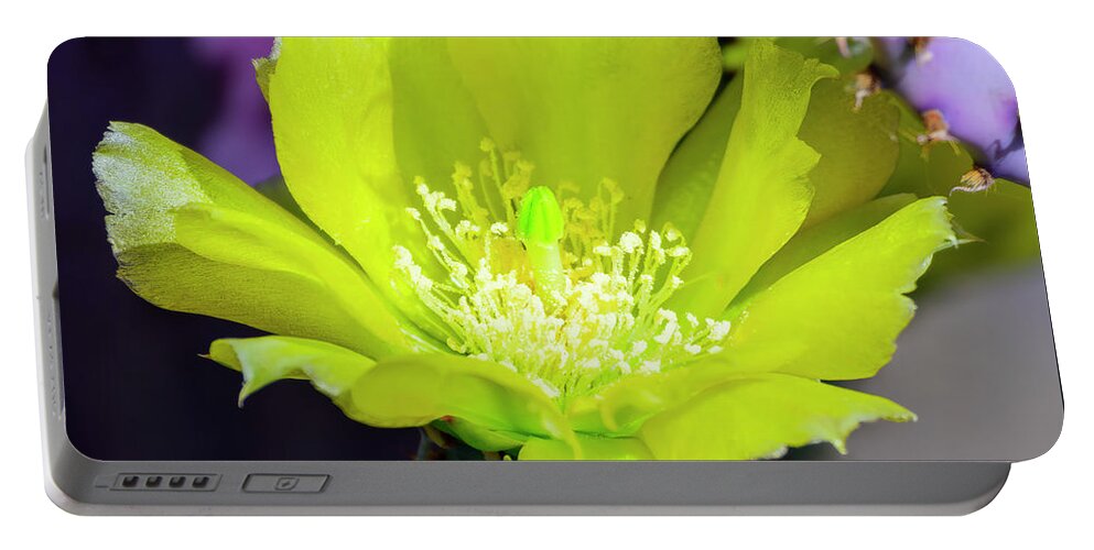 Floral Portable Battery Charger featuring the photograph Prickly Pear Flower 25105 by Mark Myhaver