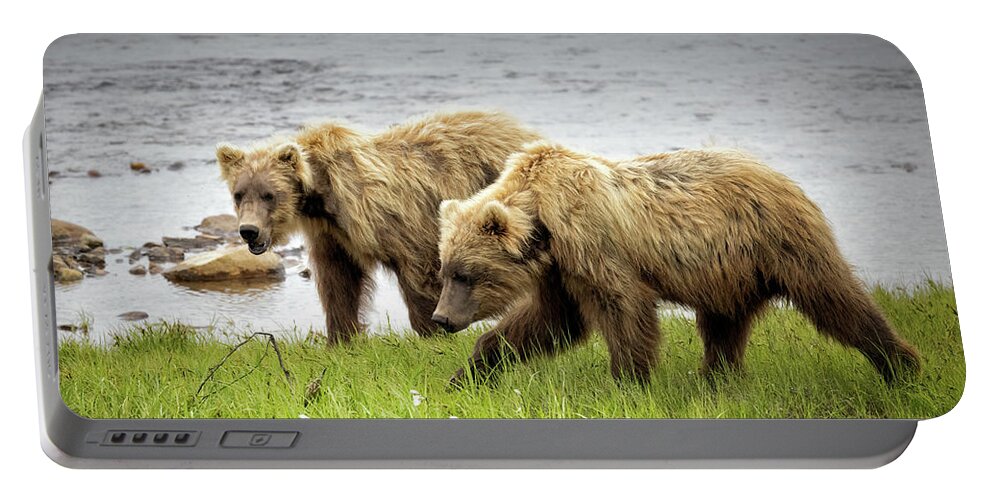 Alaska Portable Battery Charger featuring the photograph Prowling Along the Creek by Cheryl Strahl