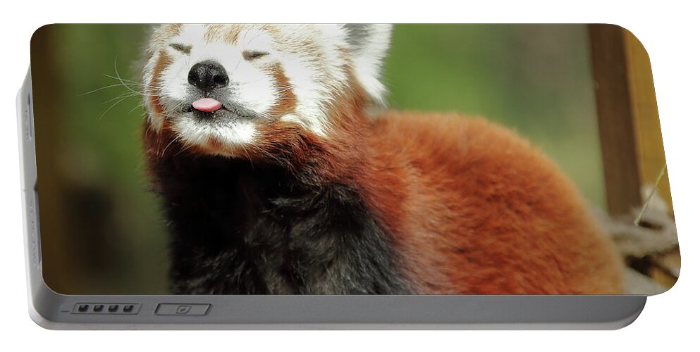 Red Panda Portable Battery Charger featuring the photograph Psssstttt by Lens Art Photography By Larry Trager