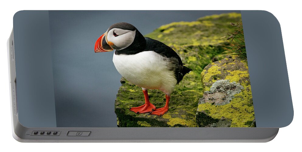 Puffin Portable Battery Charger featuring the photograph Puffin on Cliff edge by Stephen Sloan