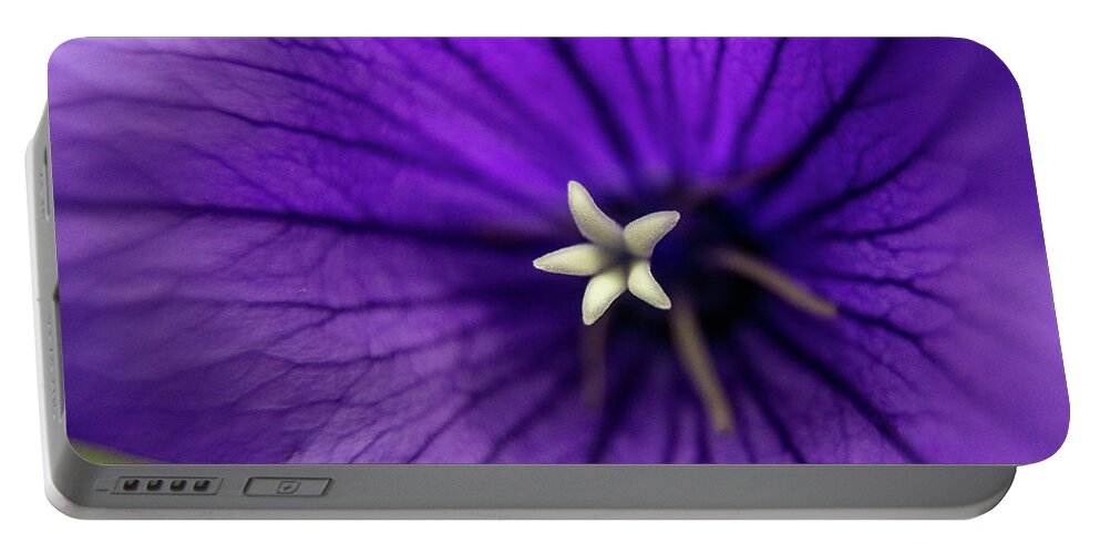 Purple Portable Battery Charger featuring the photograph Purple Balloon Flower by Denise Kopko