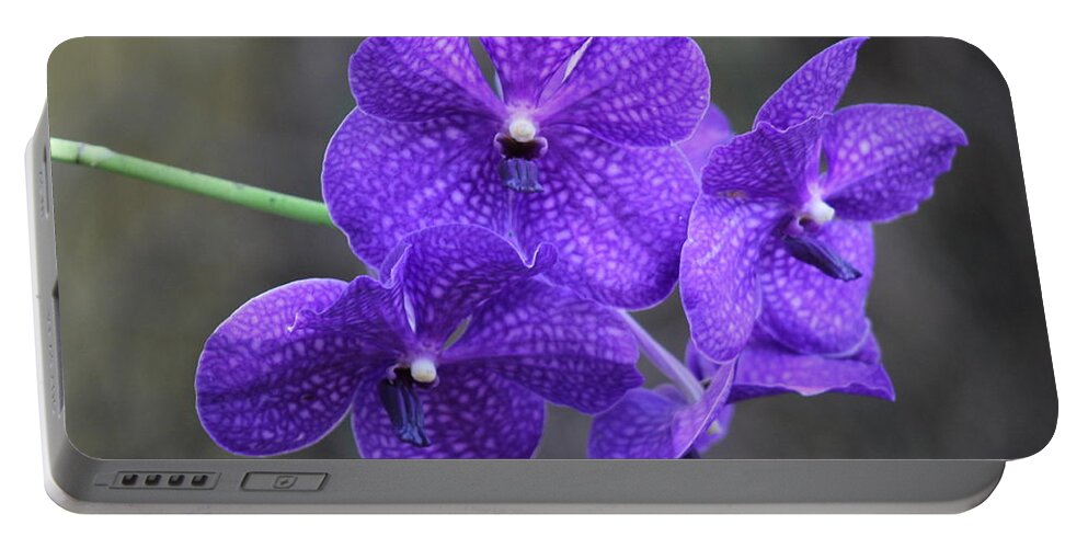 Purple Portable Battery Charger featuring the photograph Purple/Blue Orchid by Yvonne M Smith