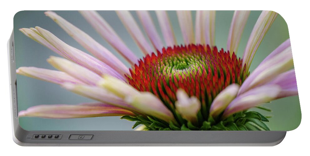 Echinacea Portable Battery Charger featuring the photograph Purple Coneflower 3 by Todd Bannor