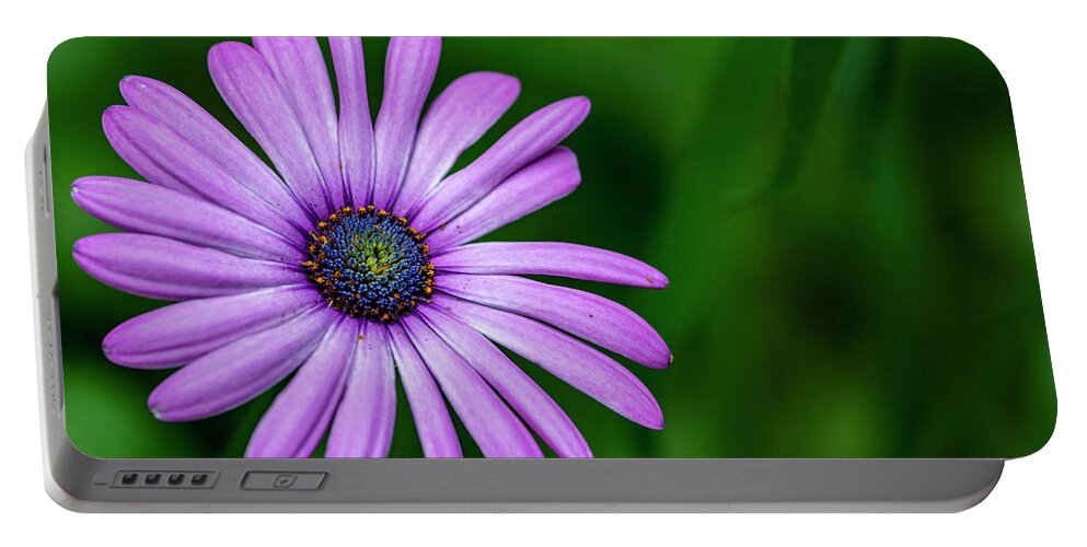 Flower Portable Battery Charger featuring the photograph Purple Daisy by Cathy Kovarik
