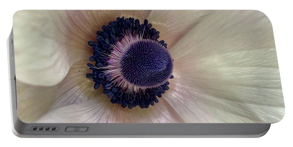 Anemone Flower Portable Battery Charger featuring the photograph Purple Magic by Daniele Smith